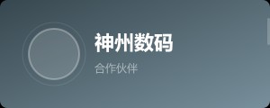 神州数码