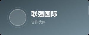 联强国际