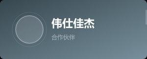伟仕佳杰