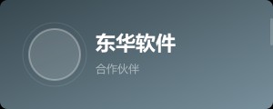 东华软件
